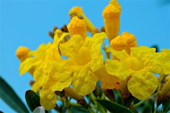 交警安全宣传标语101句 交警安全宣传标语101句