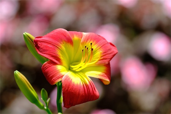 企业科技理念标语90句