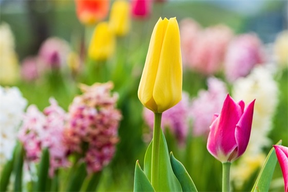 2025秋季运动会口号 2025秋季运动会口号