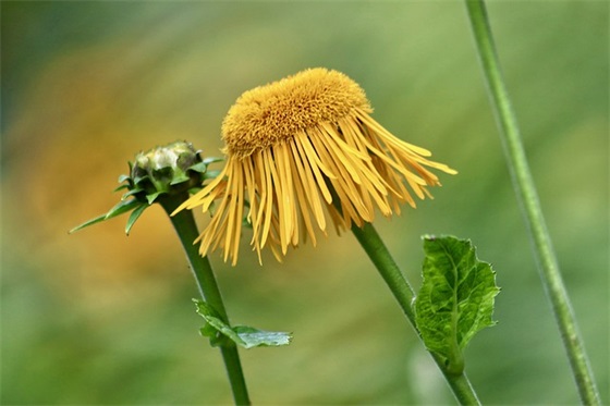 中考祝福语送同学 2026中考取得好成绩的祝福语