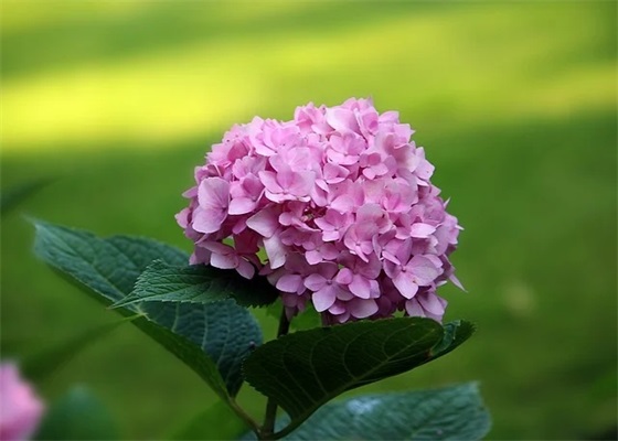 祝福语给心爱的人81句