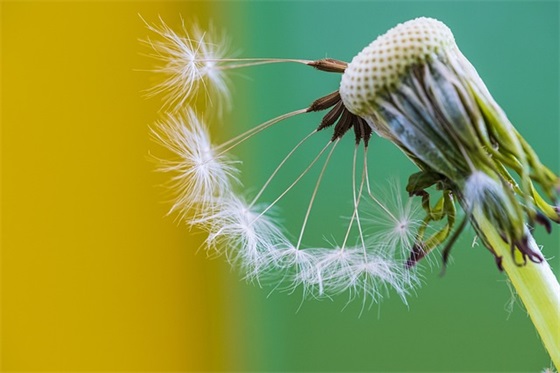 有关一个人情况下的情感话语(快手评论祝福人的情感话语)