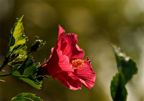 搞笑生日礼物祝福语 恶搞生日礼物图片 搞笑生日礼物祝福语 恶搞生日礼物图片