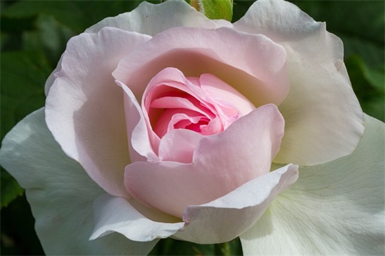 祝朋友去外地工作的祝福语