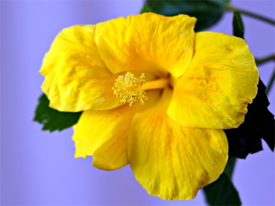 5月祝福语40句 5月祝福语40句