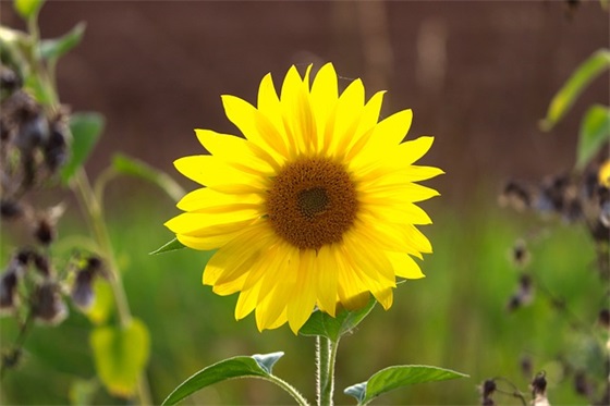 上班祝福语八字 病人祝福语简短八字 上班祝福语八字 病人祝福语简短八字