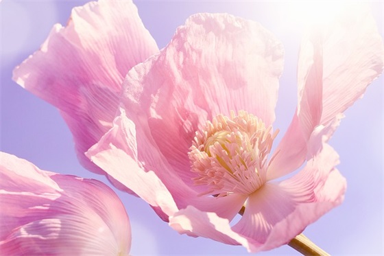 标杆管理起源于哪儿