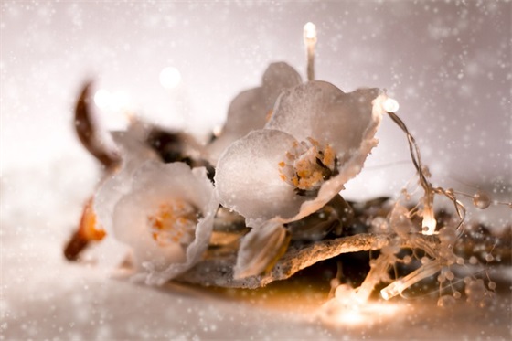 5公分是多少厘米 5公分是多少米