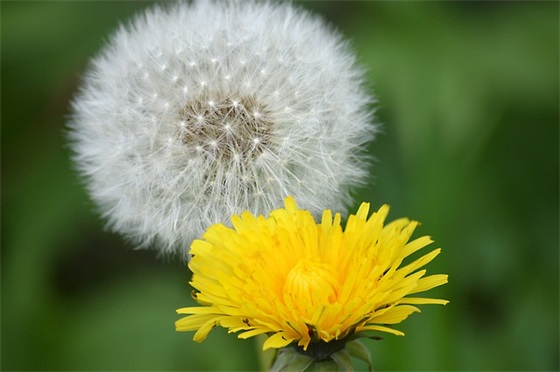 我们的故事爱就爱的值得是什么歌