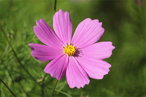 舟山市属于哪个省