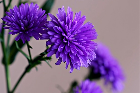 次日是指哪一天 次日是今天还是明天