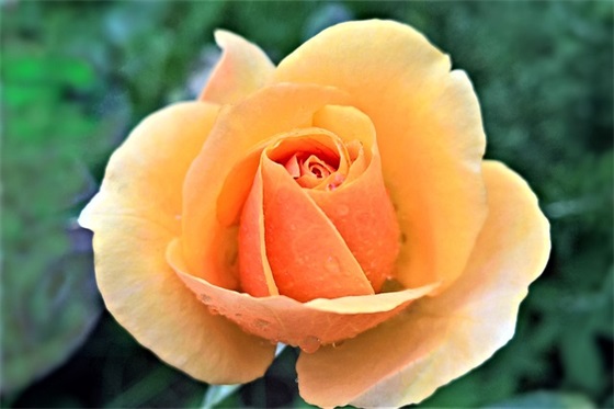 华山派早就存在，为什么后世还将风清扬奉为创派祖师？