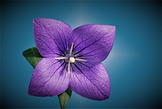 为什么情侣酒店不能随便住？两点原因