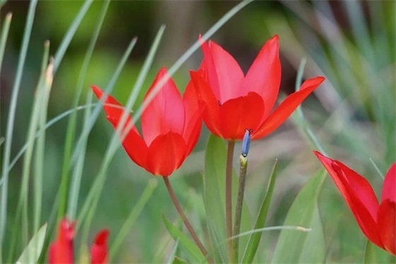 为什么出轨的人越来越多？中国婚外情调查报告