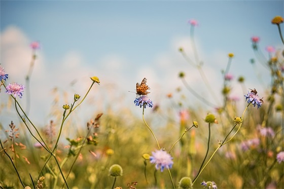 送给老丈人的18种礼物，生日送给老丈人的礼物排名