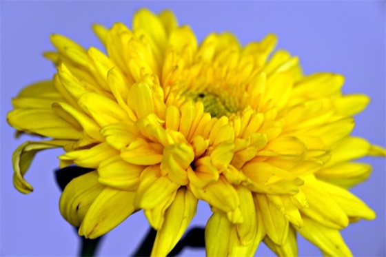 保湿水品牌排行榜前十名，保湿水排行榜前十名哪个牌子好