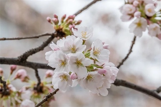 适合小型办厂创业项目有哪些，小型投资办厂项目推荐