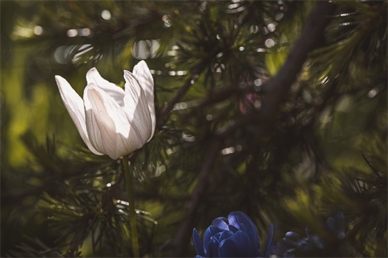 中国最能吃辣的省份排名前十，中国最能吃辣的省份有哪些