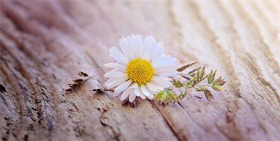 蒜味香肠怎么做好吃