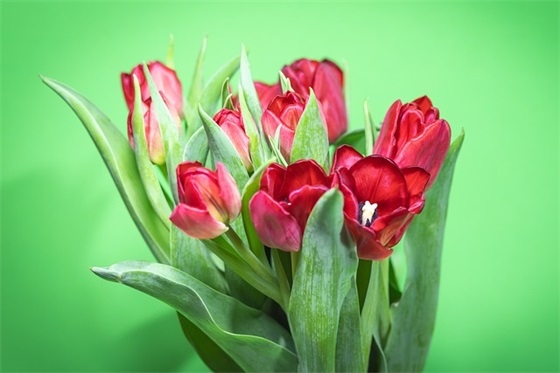 汤圆品牌排行榜前十名，十大好吃汤圆品牌排行榜