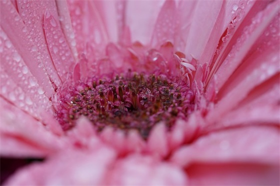 中国历史上最短命的皇帝排名，古代十大短命皇帝排行榜