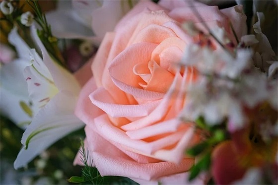 氨基酸洗面奶排行榜推荐，最好用的十款氨基酸洗面奶