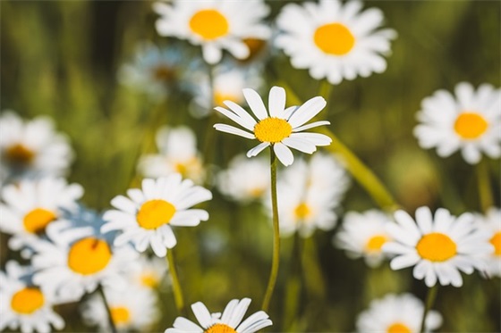 员工办公桌椅十大品牌排行榜，办公椅子品牌排行榜前十名