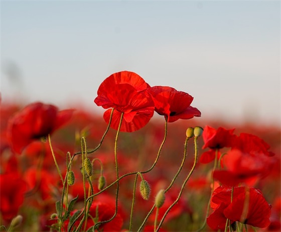 婴儿面霜排行榜10强，宝宝面霜什么牌子好用