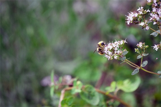 中国十大吃辣城市排名，中国最爱吃辣的十大城市