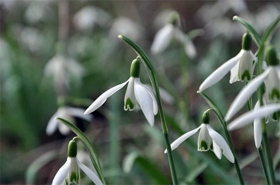 床垫十大名牌排行榜，国内床垫10大品牌