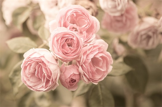 好吃的糖果推荐