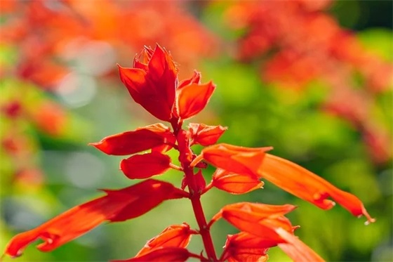 绝了！洗得干净又温和的升洋零肌洗面奶