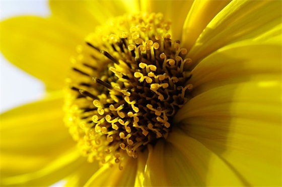 小学生生日礼物排行榜,送小学生什么礼物好