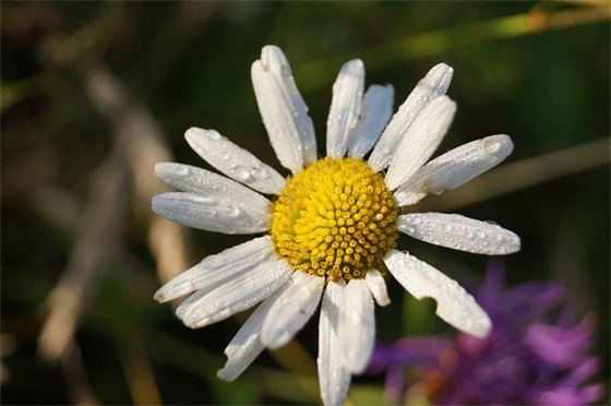 文房四宝是指什么，文房四宝是指哪四样