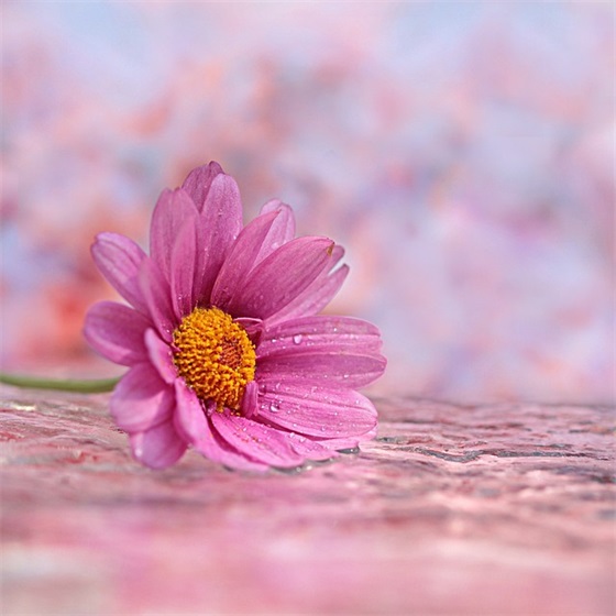 班级口号霸气押韵励志16字 班级口号霸气押韵励志16字