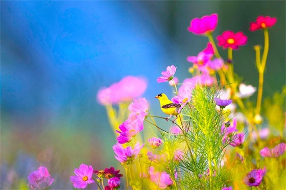 冬季阳光体育口号80句 冬季阳光体育口号80句