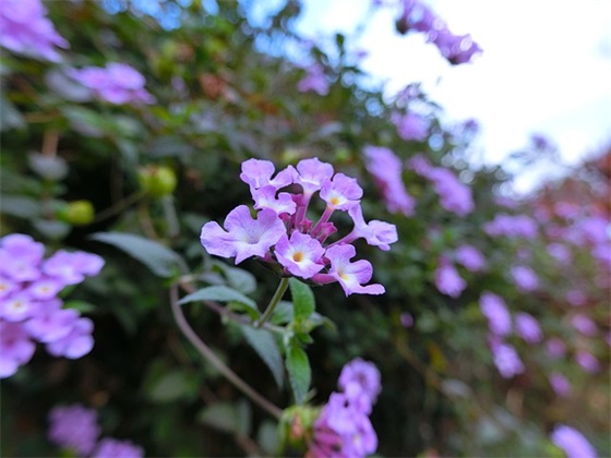 二年级体育节口号82句 二年级体育节口号82句
