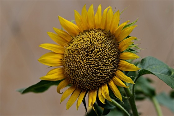 街道宣传口号87句 街道宣传口号87句