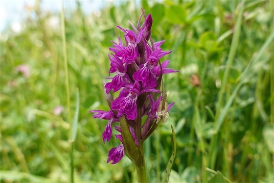 光电学院的运动会口号84句