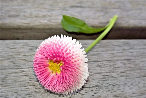 4s店的标语80句 4s店的标语80句