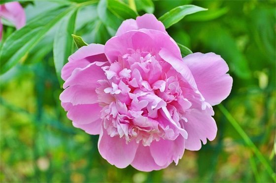 家具企业口号84句 家具企业口号84句