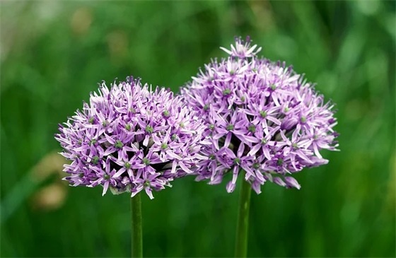 建筑设计企业口号84句 建筑设计企业口号84句