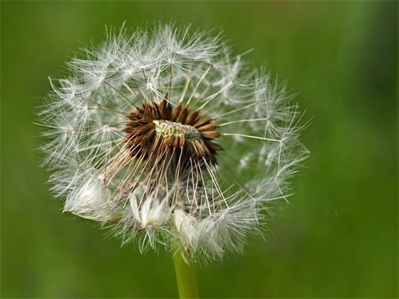 班级口号的宣传标语83句 班级口号的宣传标语83句