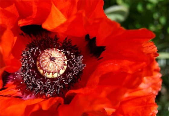 电脑口号81句 电脑口号81句