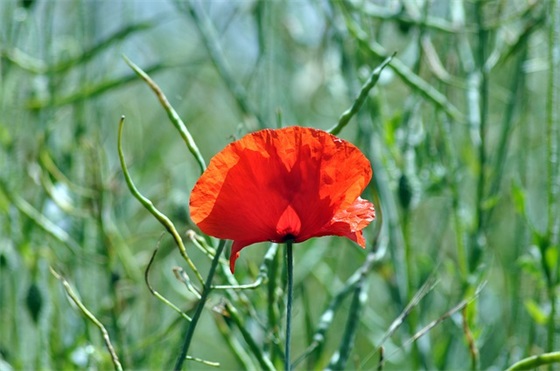 公交公司安全与服务标语(公交公司企业文化标语) 公交公司安全与服务标语(公交公司企业文化标语)