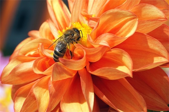 老年人体育节口号82句 老年人体育节口号82句