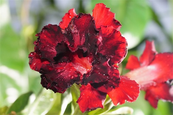 体育比赛标语口号82句 体育比赛标语口号82句