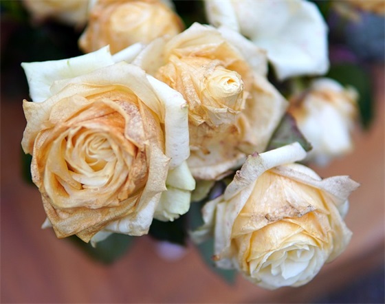 儿童节宣传口号70句 儿童节宣传口号70句