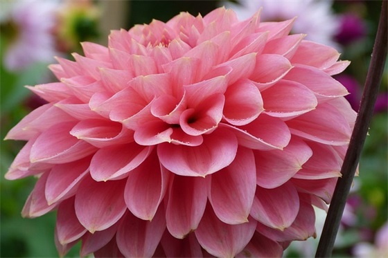 节约粮食反对浪费标语简单