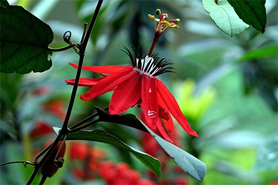 团结标语 家族团结标语